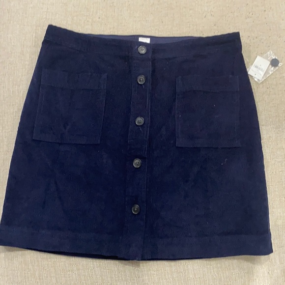 Gap Blue Corduroy Skirt - Picture 1 of 3